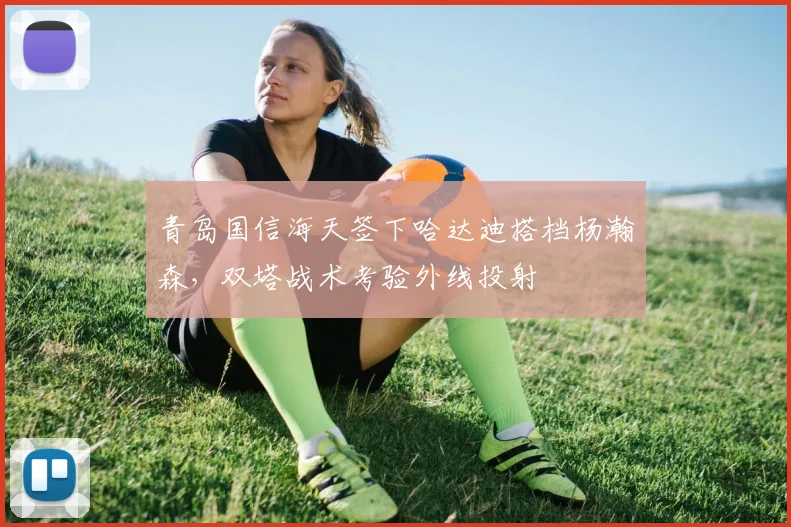 青岛国信海天签下哈达迪搭档杨瀚森，双塔战术考验外线投射